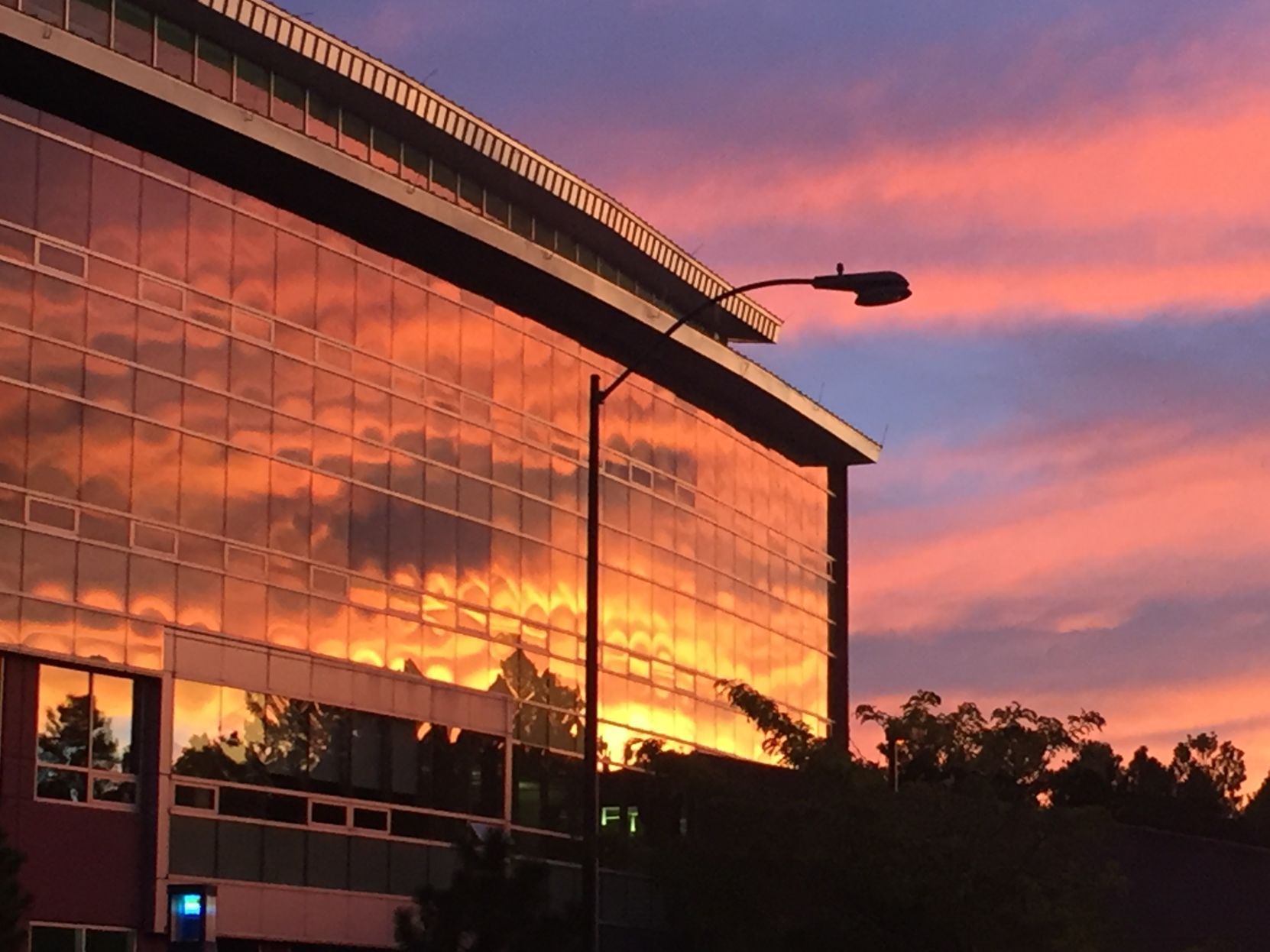 Sunset at the W.A. Franke College of Business